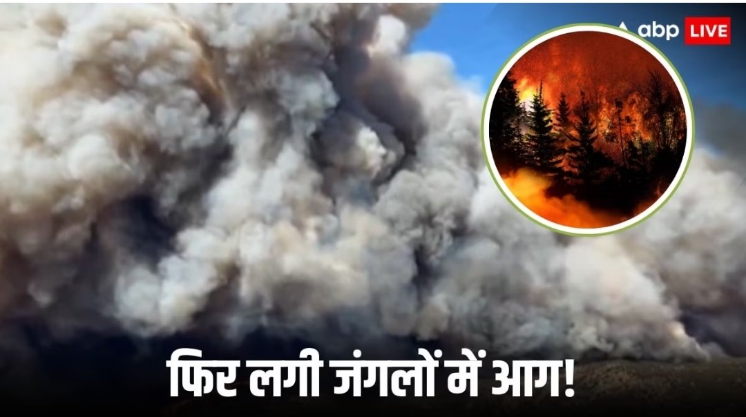 लॉस एंजिल्स में भीषण आग: 31,000 लोगों को घर खाली करने का आदेश