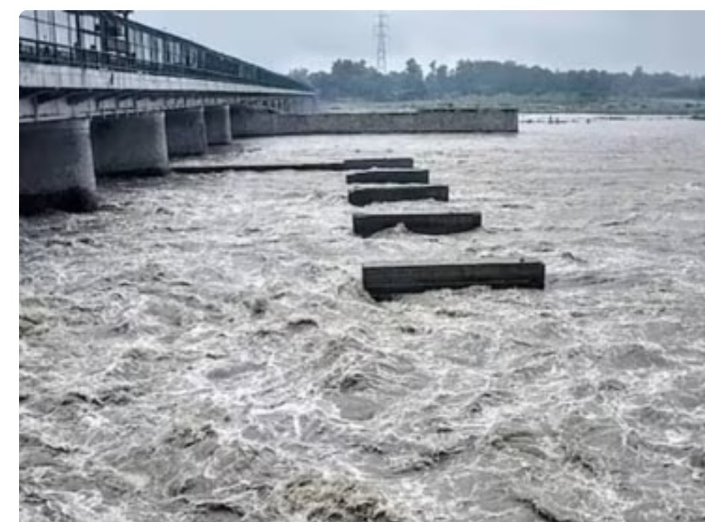 EC Asks Haryana Govt for Report on Alleged Yamuna Pollution by Toxic Water