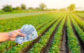 MP Farmers to Receive ₹10,000 Under Paddy Promotion Scheme – Big Relief from Mohan Government