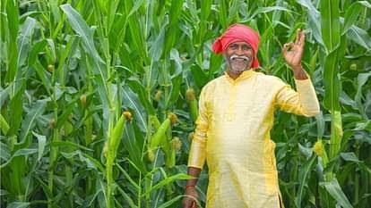 PM Kisan Yojana: Big Update! Government to Transfer 19th Installment on This Date – Here’s How to Apply for the Scheme