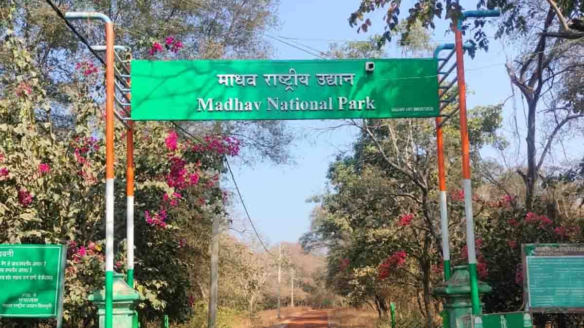 MP को मिलेगा नया टाइगर रिजर्व: माधव नेशनल पार्क बनेगा 9वां बाघ संरक्षित क्षेत्र