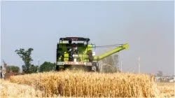 भारत-पाक तनाव: बॉर्डर गांवों को 2-3 दिन में फसल काटने का आदेश, जानें पूरी सच्चाई