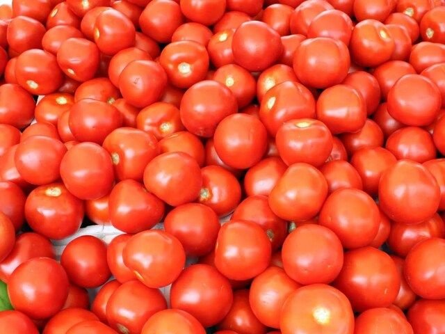 बाजार में बिक रहे ज़हरीले टमाटर: केमिकल से पकाए जा रहे हैं, जान जोखिम में डाल रहे ग्राहक!